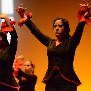Fotografía de Conservatorio de Danza. Talleres 2013 de Baile Flamenco - Conservatorio de Danza