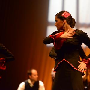 Fotografía de Conservatorio de Danza. Talleres 2013 de Baile Flamenco - Conservatorio de Danza