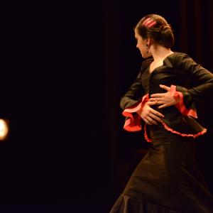 Fotografía de Conservatorio de Danza. Talleres 2013 de Baile Flamenco - Conservatorio de Danza