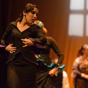 Fotografía de Conservatorio de Danza. Talleres 2013 de Baile Flamenco - Conservatorio de Danza