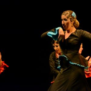 Fotografía de Conservatorio de Danza. Talleres 2013 de Baile Flamenco - Conservatorio de Danza