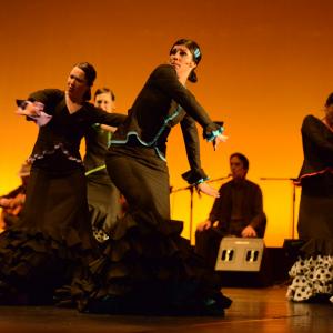 Fotografía de Conservatorio de Danza. Talleres 2013 de Baile Flamenco - Conservatorio de Danza