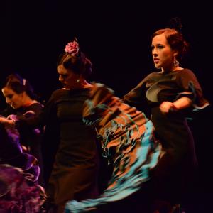 Fotografía de Conservatorio de Danza. Talleres 2013 de Baile Flamenco - Conservatorio de Danza