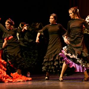 Fotografía de Conservatorio de Danza. Talleres 2013 de Baile Flamenco - Conservatorio de Danza