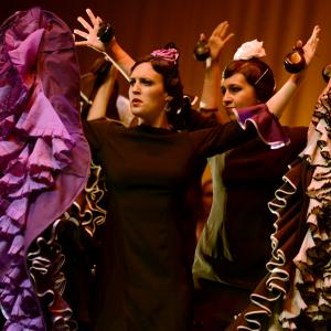 Fotografía de Conservatorio de Danza. Talleres 2013 de Baile Flamenco - Conservatorio de Danza