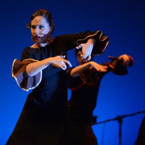 Fotografía de Conservatorio de Danza. Talleres 2013 de Baile Flamenco - Conservatorio de Danza