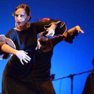 Fotografía de Conservatorio de Danza. Talleres 2013 de Baile Flamenco - Conservatorio de Danza
