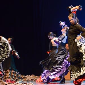 Fotografía de Conservatorio de Danza. Talleres 2013 de Baile Flamenco - Conservatorio de Danza