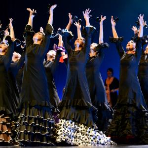 Fotografía de Conservatorio de Danza. Talleres 2013 de Baile Flamenco - Conservatorio de Danza