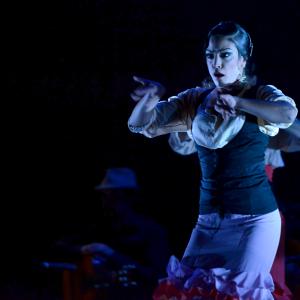 Fotografía de Conservatorio de Danza. Talleres 2013 de Baile Flamenco - Conservatorio de Danza