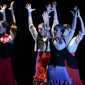 Fotografía de Conservatorio de Danza. Talleres 2013 de Baile Flamenco - Conservatorio de Danza