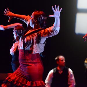 Fotografía de Conservatorio de Danza. Talleres 2013 de Baile Flamenco - Conservatorio de Danza