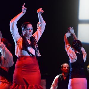 Fotografía de Conservatorio de Danza. Talleres 2013 de Baile Flamenco - Conservatorio de Danza