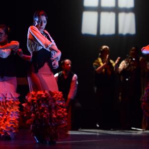 Fotografía de Conservatorio de Danza. Talleres 2013 de Baile Flamenco - Conservatorio de Danza
