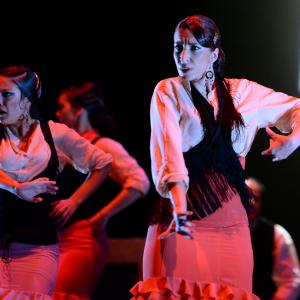 Fotografía de Conservatorio de Danza. Talleres 2013 de Baile Flamenco - Conservatorio de Danza