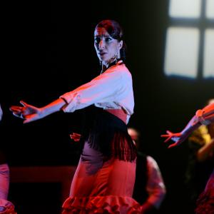 Fotografía de Conservatorio de Danza. Talleres 2013 de Baile Flamenco - Conservatorio de Danza