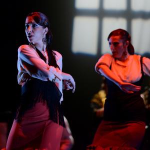 Fotografía de Conservatorio de Danza. Talleres 2013 de Baile Flamenco - Conservatorio de Danza
