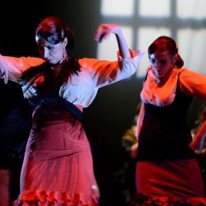 Fotografía de Conservatorio de Danza. Talleres 2013 de Baile Flamenco - Conservatorio de Danza