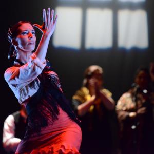 Fotografía de Conservatorio de Danza. Talleres 2013 de Baile Flamenco - Conservatorio de Danza