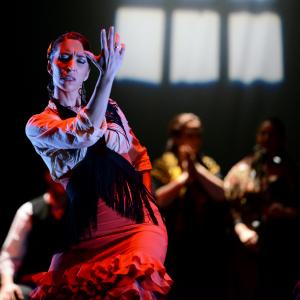 Fotografía de Conservatorio de Danza. Talleres 2013 de Baile Flamenco - Conservatorio de Danza
