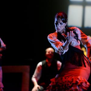 Fotografía de Conservatorio de Danza. Talleres 2013 de Baile Flamenco - Conservatorio de Danza