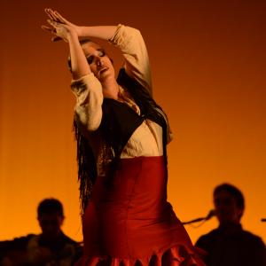 Fotografía de Conservatorio de Danza. Talleres 2013 de Baile Flamenco - Conservatorio de Danza