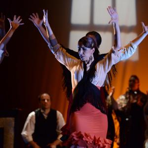 Fotografía de Conservatorio de Danza. Talleres 2013 de Baile Flamenco - Conservatorio de Danza