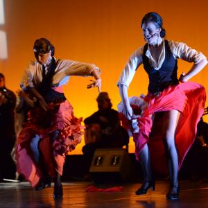 Fotografía de Conservatorio de Danza. Talleres 2013 de Baile Flamenco - Conservatorio de Danza