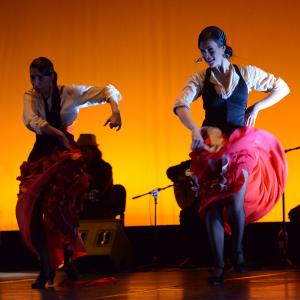 Fotografía de Conservatorio de Danza. Talleres 2013 de Baile Flamenco - Conservatorio de Danza