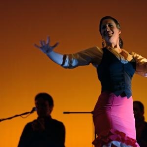Fotografía de Conservatorio de Danza. Talleres 2013 de Baile Flamenco - Conservatorio de Danza