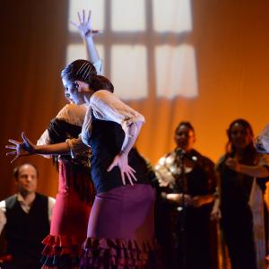Fotografía de Conservatorio de Danza. Talleres 2013 de Baile Flamenco - Conservatorio de Danza