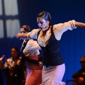 Fotografía de Conservatorio de Danza. Talleres 2013 de Baile Flamenco - Conservatorio de Danza