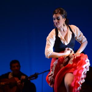 Fotografía de Conservatorio de Danza. Talleres 2013 de Baile Flamenco - Conservatorio de Danza