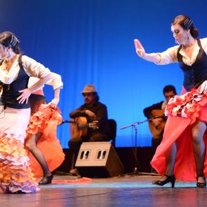 Fotografía de Conservatorio de Danza. Talleres 2013 de Baile Flamenco - Conservatorio de Danza