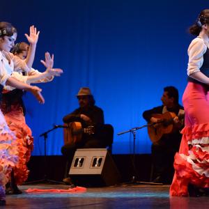 Fotografía de Conservatorio de Danza. Talleres 2013 de Baile Flamenco - Conservatorio de Danza