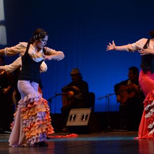 Fotografía de Conservatorio de Danza. Talleres 2013 de Baile Flamenco - Conservatorio de Danza