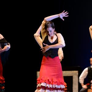 Fotografía de Conservatorio de Danza. Talleres 2013 de Baile Flamenco - Conservatorio de Danza
