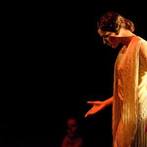 Fotografía de Conservatorio de Danza. Talleres 2013 de Baile Flamenco - Conservatorio de Danza