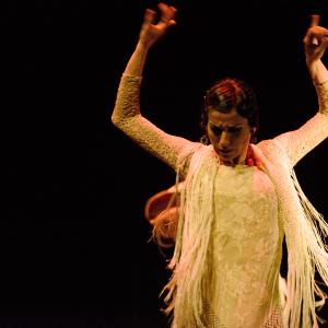 Fotografía de Conservatorio de Danza. Talleres 2013 de Baile Flamenco - Conservatorio de Danza