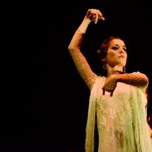 Fotografía de Conservatorio de Danza. Talleres 2013 de Baile Flamenco - Conservatorio de Danza