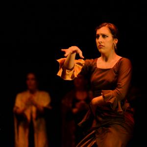 Fotografía de Conservatorio de Danza. Talleres 2013 de Baile Flamenco - Conservatorio de Danza