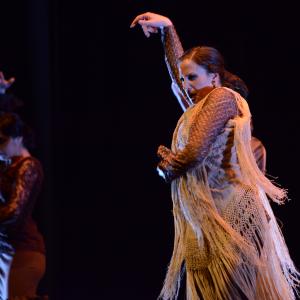 Fotografía de Conservatorio de Danza. Talleres 2013 de Baile Flamenco - Conservatorio de Danza