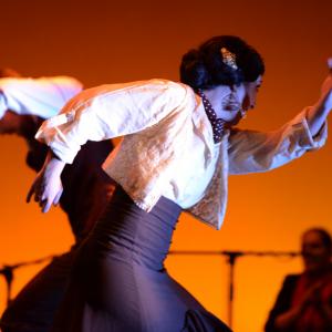 Fotografía de Conservatorio de Danza. Talleres 2013 de Baile Flamenco - Conservatorio de Danza