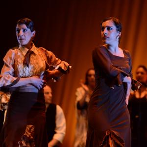 Fotografía de Conservatorio de Danza. Talleres 2013 de Baile Flamenco - Conservatorio de Danza