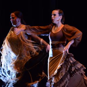 Fotografía de Conservatorio de Danza. Talleres 2013 de Baile Flamenco - Conservatorio de Danza