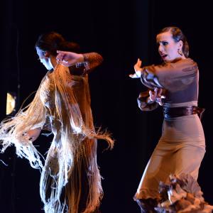 Fotografía de Conservatorio de Danza. Talleres 2013 de Baile Flamenco - Conservatorio de Danza