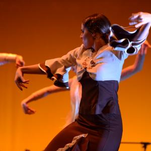 Fotografía de Conservatorio de Danza. Talleres 2013 de Baile Flamenco - Conservatorio de Danza