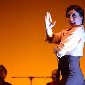 Fotografía de Conservatorio de Danza. Talleres 2013 de Baile Flamenco - Conservatorio de Danza