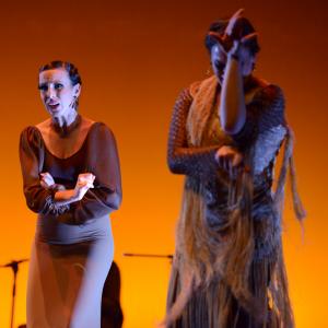 Fotografía de Conservatorio de Danza. Talleres 2013 de Baile Flamenco - Conservatorio de Danza