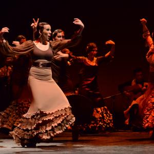 Fotografía de Conservatorio de Danza. Talleres 2013 de Baile Flamenco - Conservatorio de Danza